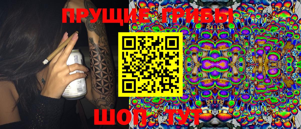 Псилоцибиновые грибы мицелий  Вход с VPN  Кропоткин 